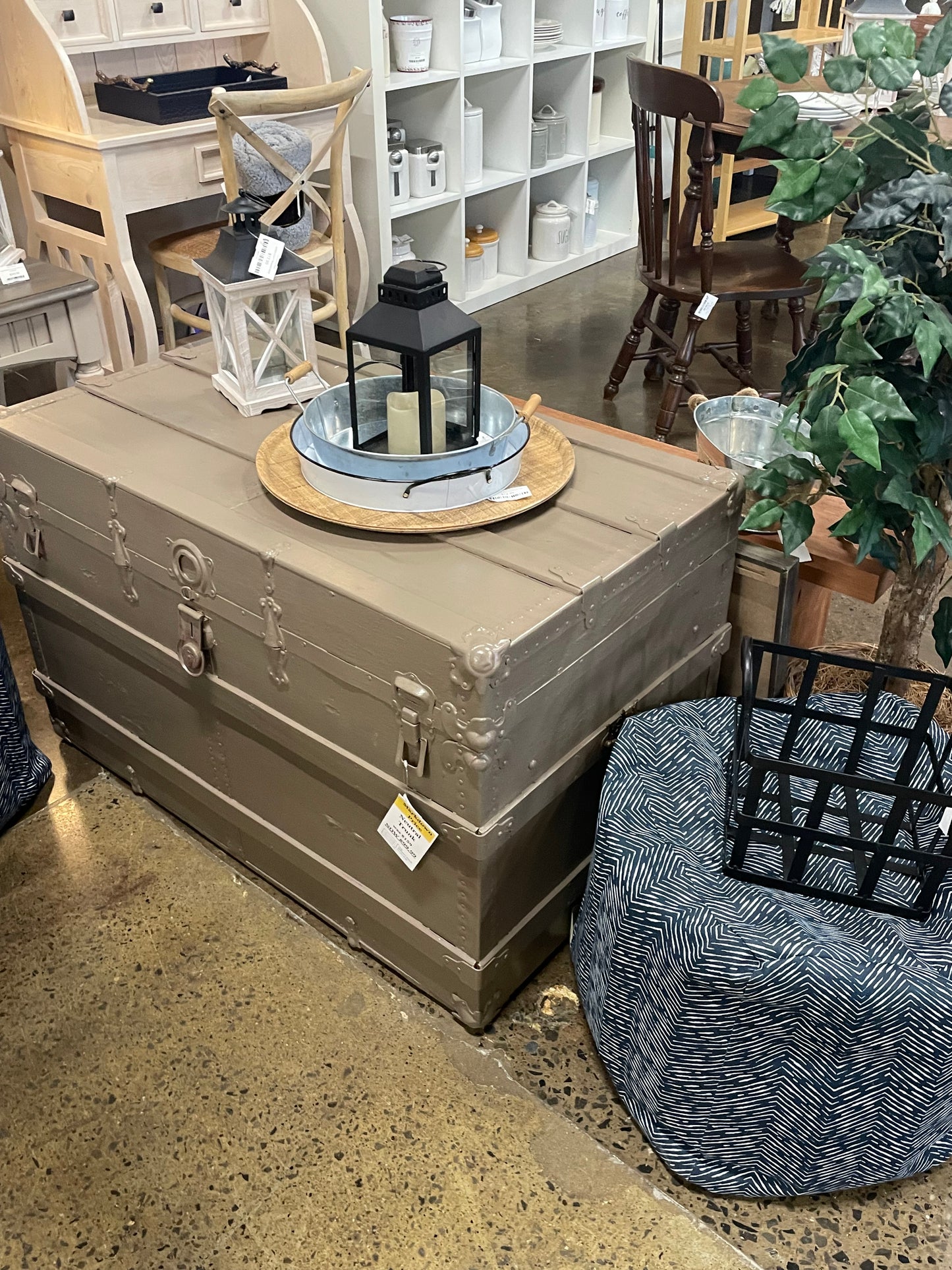 Neutral Trunk