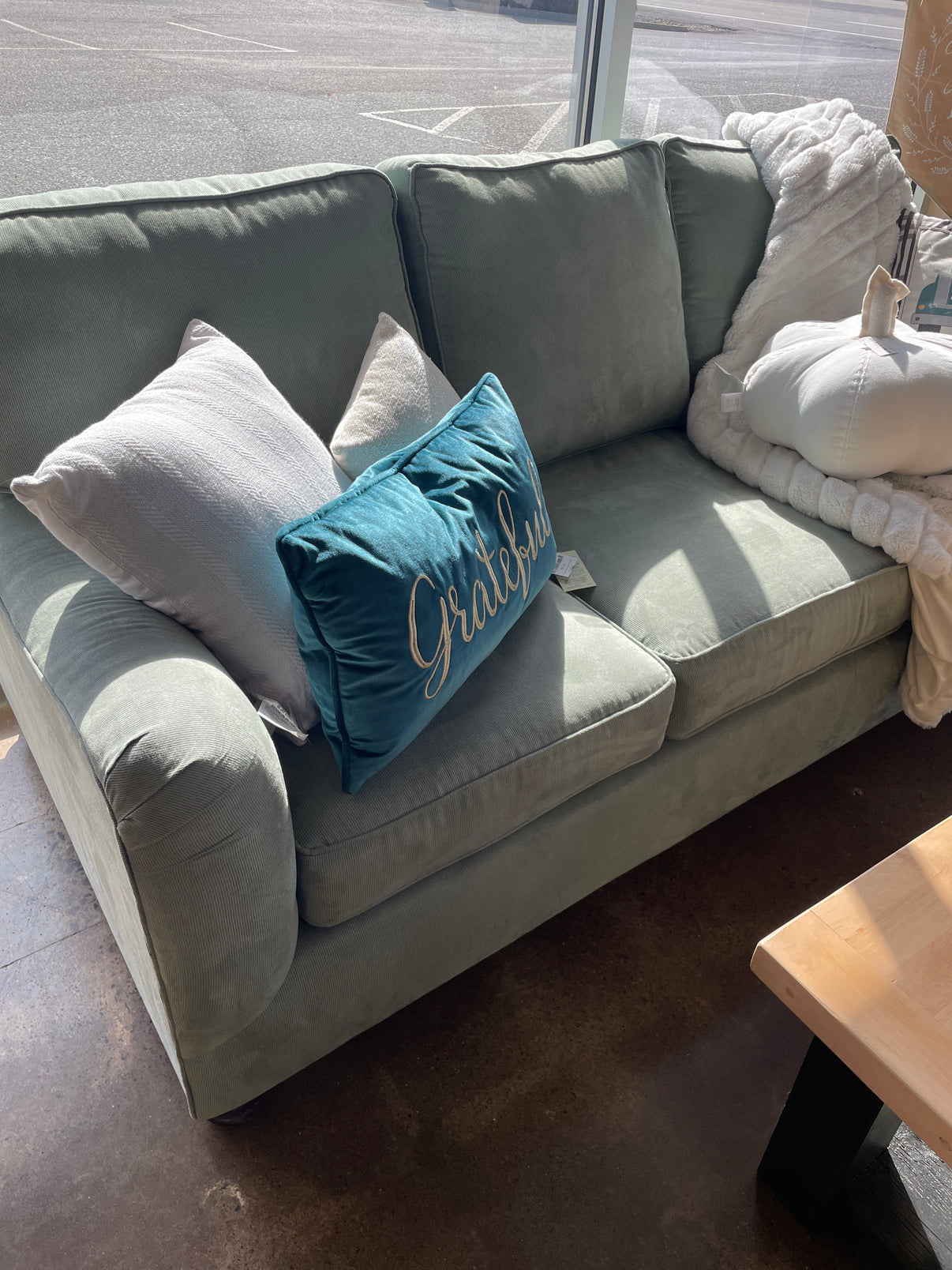 Seafoam Broyhill Air Dream Sleeper Sofa with pump The Perfect Piece